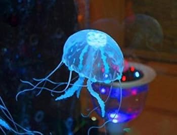 Amazon.co.jp: 海月 究極の 癒しを あなたへ 吸盤でくっつく かわいい